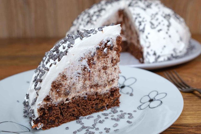 Torta sa suvim šljivama